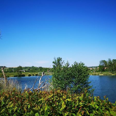 Gite A La Campagne - Etat Nature Magnieres Экстерьер фото
